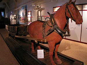 Pferd