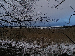 Blick