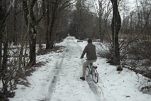Weg