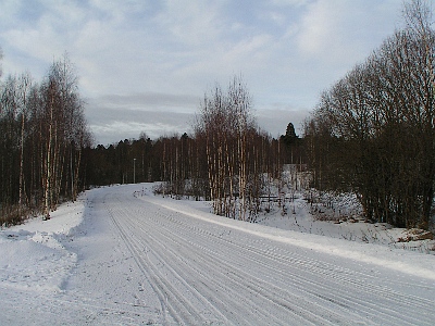Verschneiter Weg
